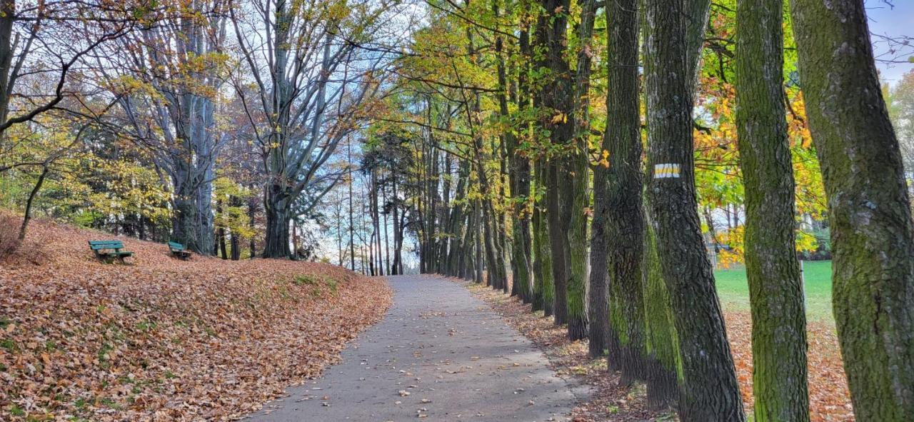 Przy Parku Jelenia Gora